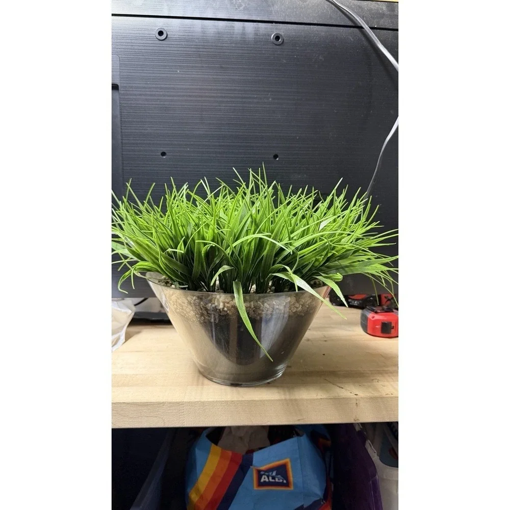 Artificial Grass‎ Plant in Glass Pot Faux Green Decor ~12